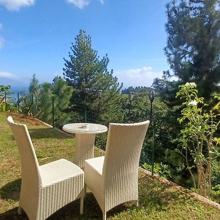 Logement Cosy Avec Piscine Et Vue Tahiti Punaauia エクステリア 写真