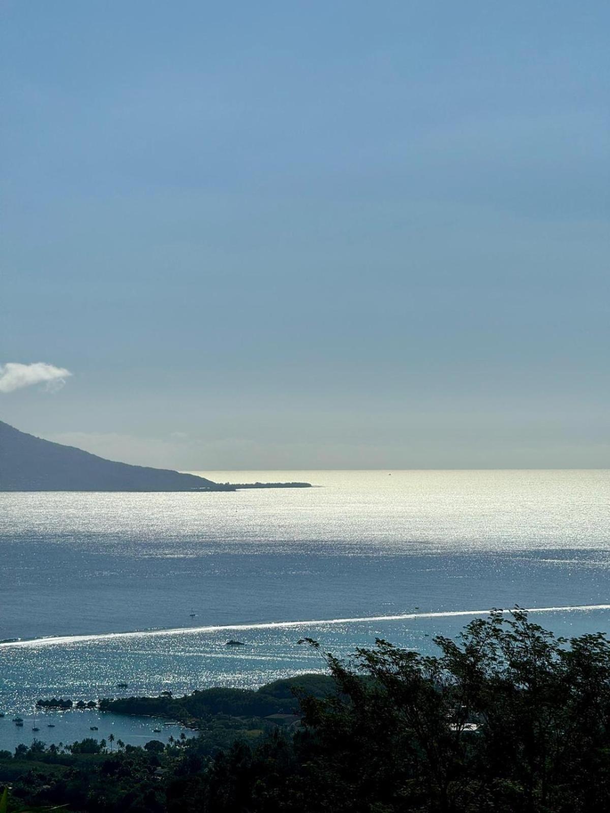 Logement Cosy Avec Piscine Et Vue Tahiti Punaauia エクステリア 写真